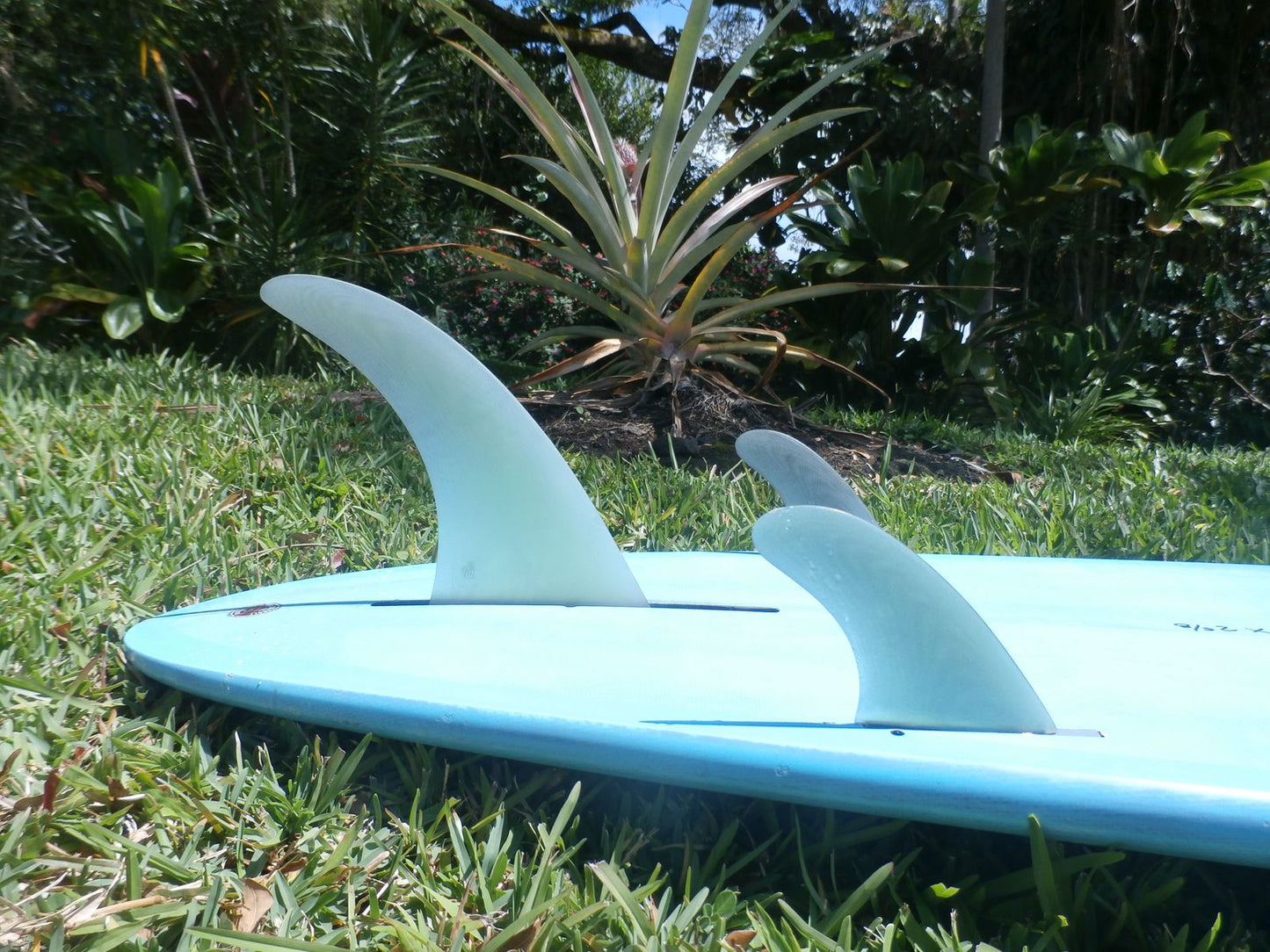 FCS 9 Inch Clique PG Performance Glass Longboard Fin Screw and Plate- Clear