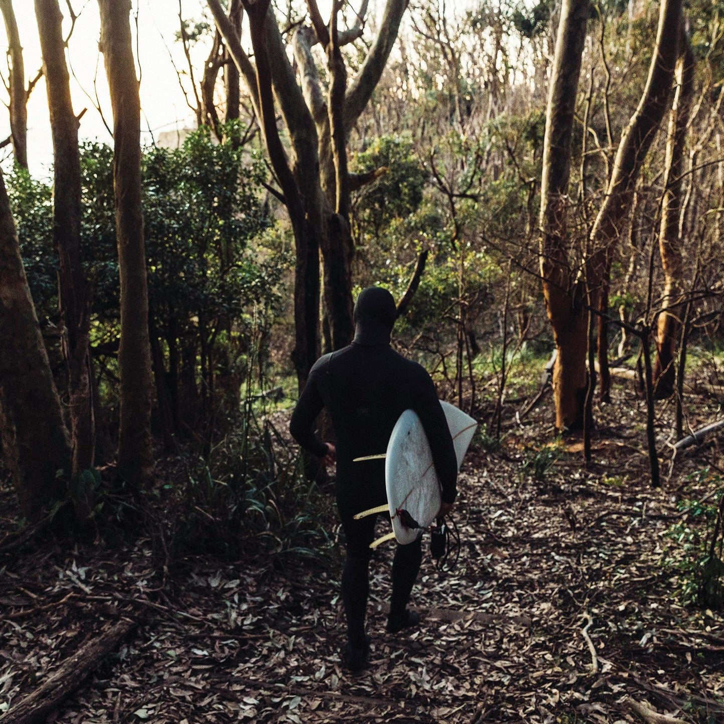 Ocean-&-Earth-7ft-One-XT-Premium-Surfboard-Leash-blacksheepsurfco-ireland-cold water-leash LCP70XT-black blue