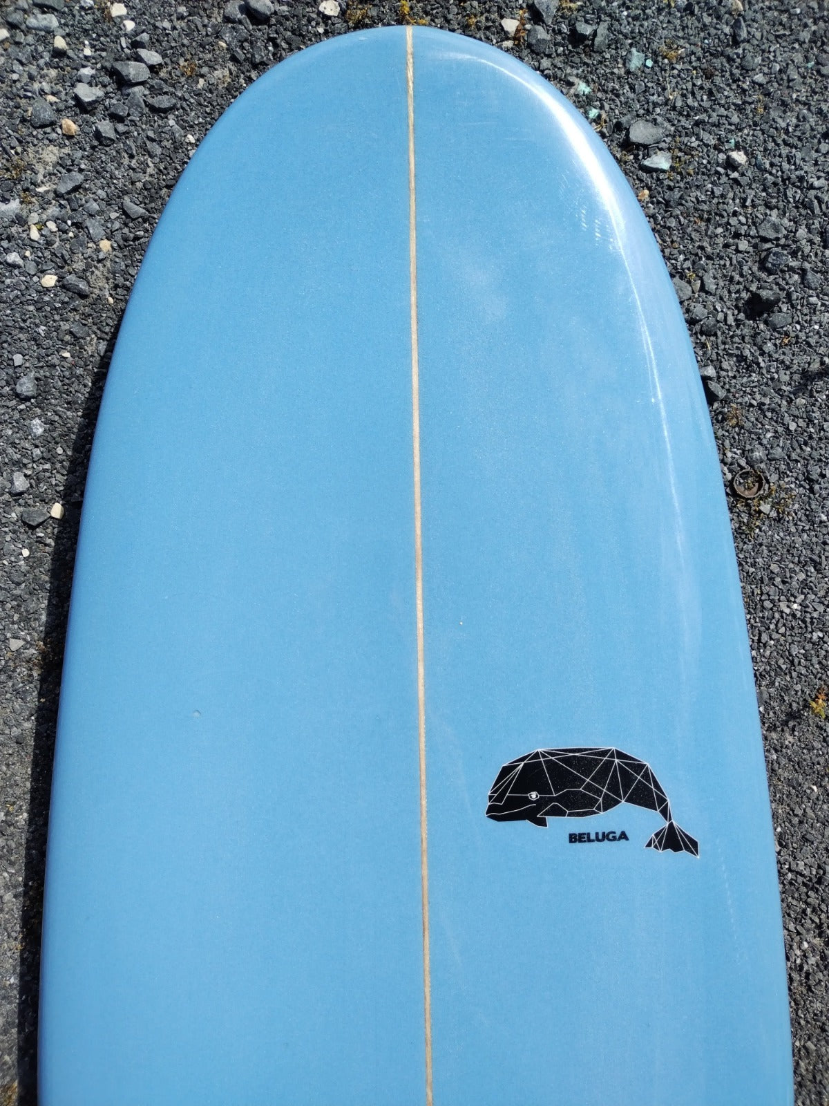 Storm Surfboards 6 10 Beluga Mini Mal Surfboard Design LB22