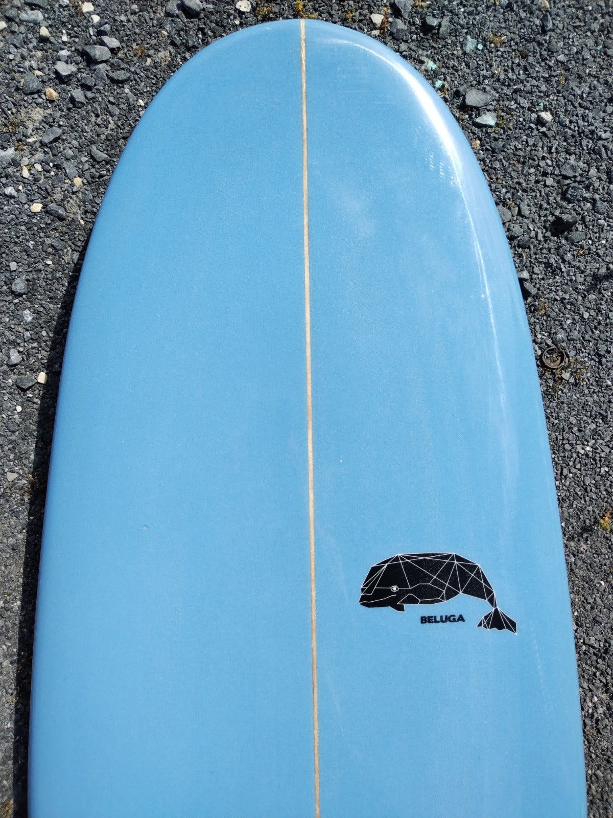 Storm Surfboards 6'10 Beluga Mini Mal Surfboard Design LB22