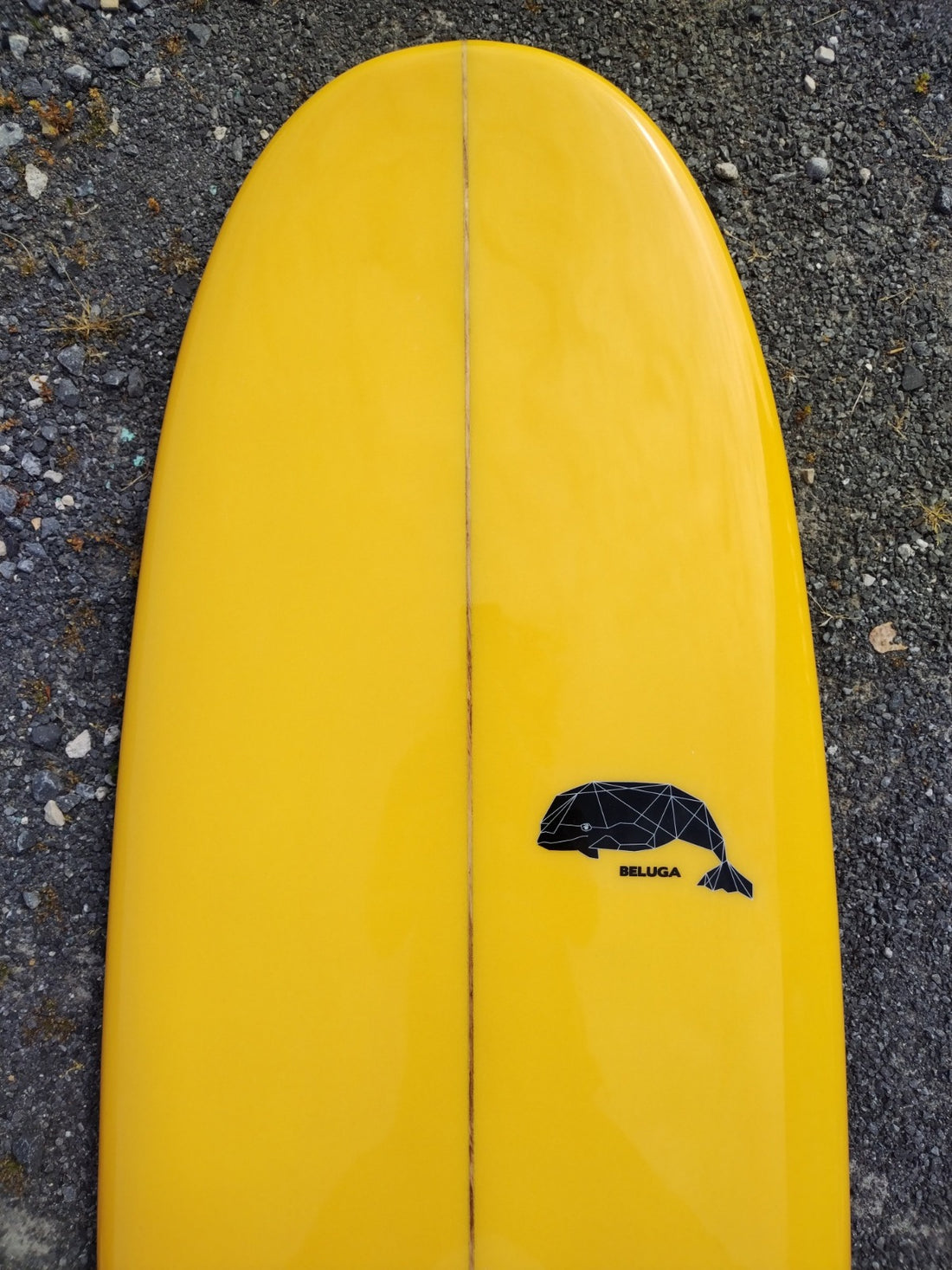 Storm Surfboards 7'0 Beluga Mini Mal Surfboard Design LB20
